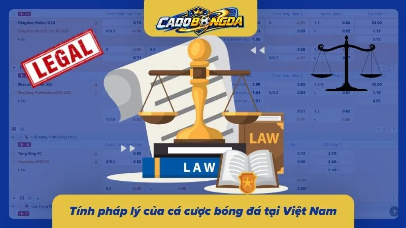 Thông tin pháp lý giúp khách chơi nhận diện giới hạn của việc cá cược