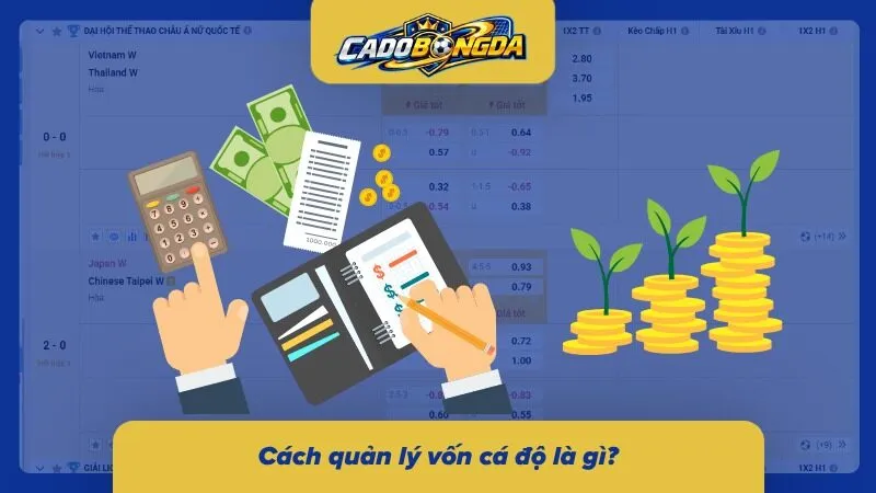 Phân bổ nguồn vốn hợp lý là nền tảng duy trì cuộc chơi lâu dài