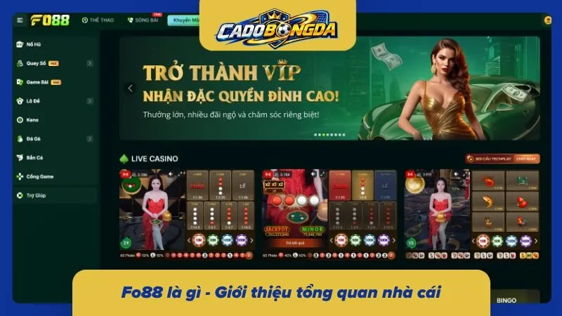 Giới thiệu Fo88 – những thông tin cơ bản cần biết 