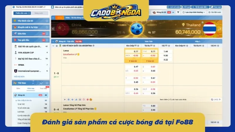 Khám phá các lựa chọn cá cược bóng đá tại Fo88 