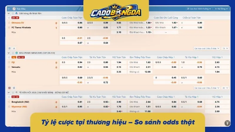 Đối chiếu tỷ lệ thực tế giúp nhận diện mức chênh lệch giữa các lựa chọn