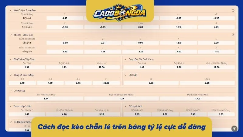 Hướng dẫn newbie cách đọc loại hình cực dễ
