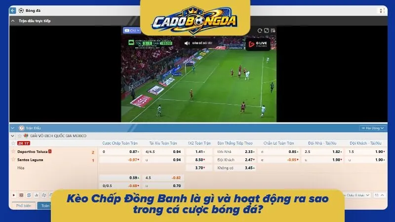 Hiểu rõ về việc chấp trong bóng đá