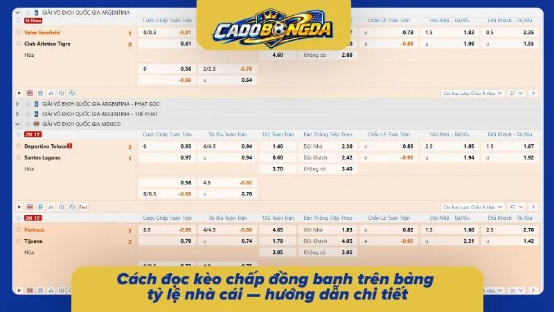 Hướng dẫn cách đọc của loại này