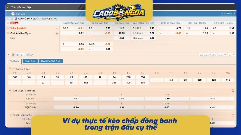 Các ví dụ thực tế về việc chấp