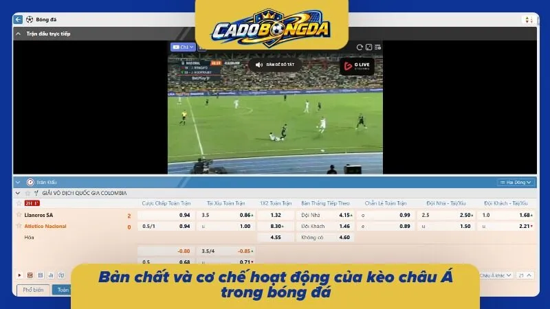 Tìm hiểu về cược Handicap trong bóng đá