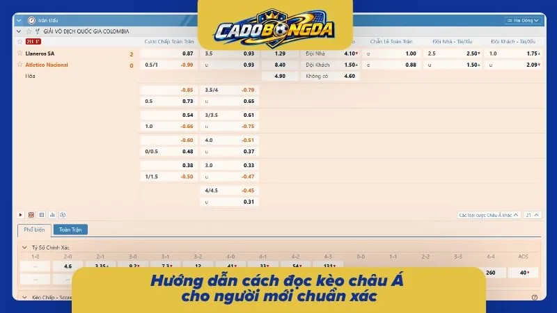 Bí quyết đọc bảng tỷ lệ cược châu Á chính xác nhất