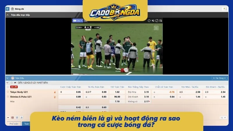 Tìm hiểu sơ lược về ném biên uy tín