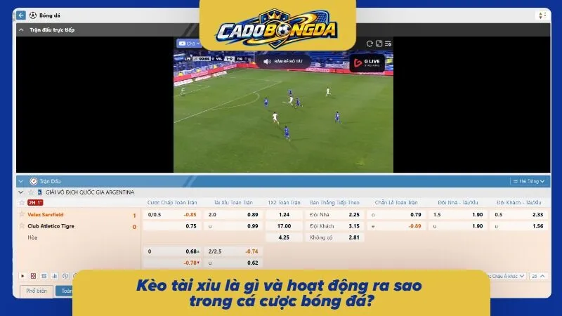 Những điều cần biết về cá cược tài xỉu trong bóng đá