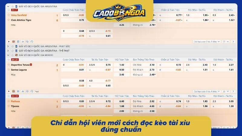Cách đọc bảng tỷ lệ nhà cái dễ hiểu và chính xác
