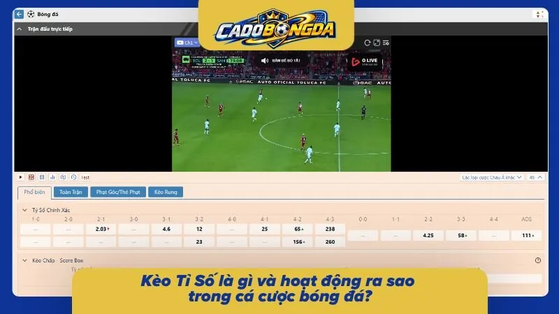 Hiểu rõ nhanh kèo chọn này là gì