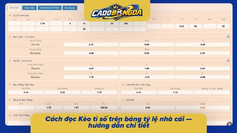 Cách đọc bảng tỷ lệ nhà cái rõ ràng