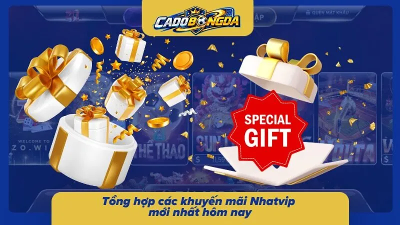 Các chương trình ưu đãi đang được diễn ra tại sân chơi