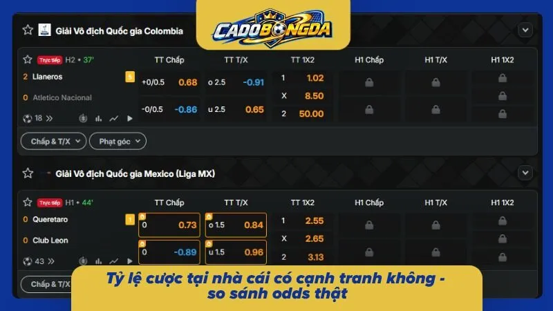 Tỷ lệ cược có một không hai tại nhà cái