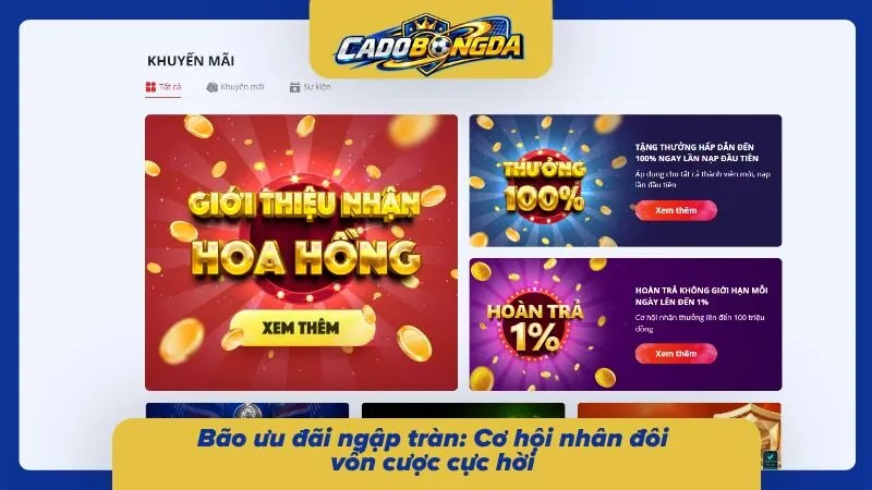 Khám phá những chính sách và ưu đãi cho tân thủ 2026