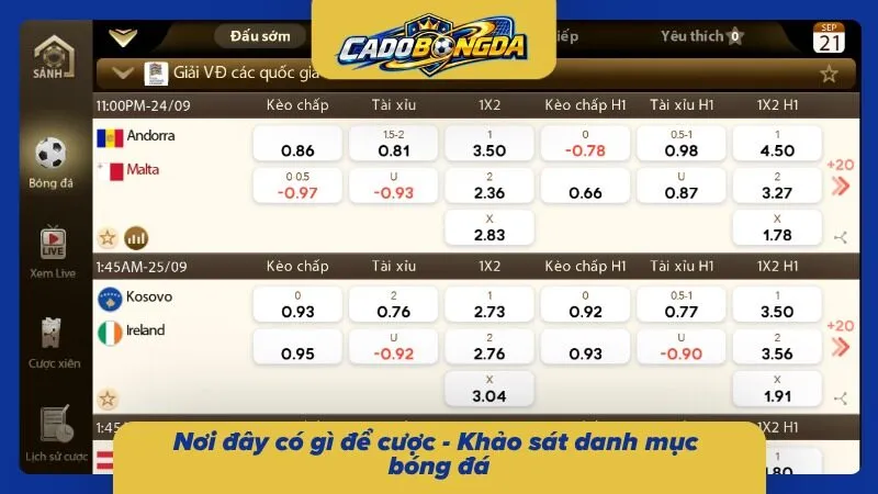 Sảnh cá cược bóng đá với nhiều giải đấu