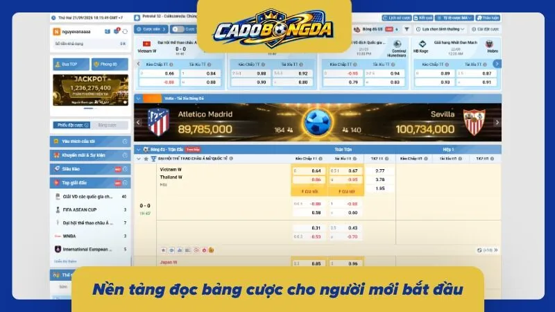 Chi tiết về thông tin bảng kèo cho tân binh