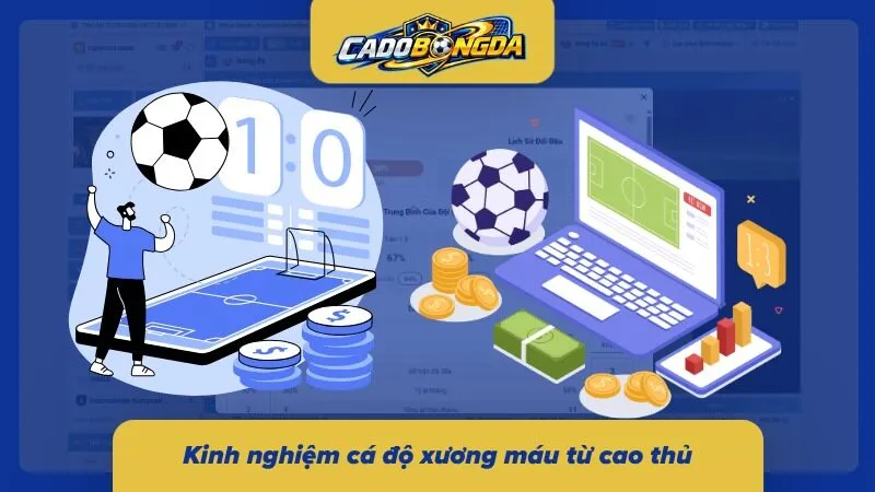 Một số lời truyền dặn từ các tay chơi lão làng