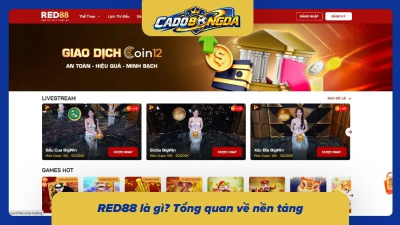 Khái quát về nhà cái