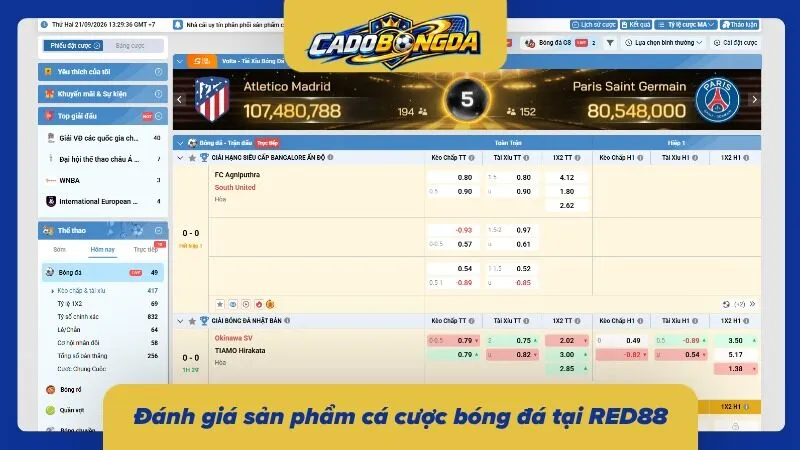 Cung cấp hệ thống giải đấu thể thao chuyên nghiệp