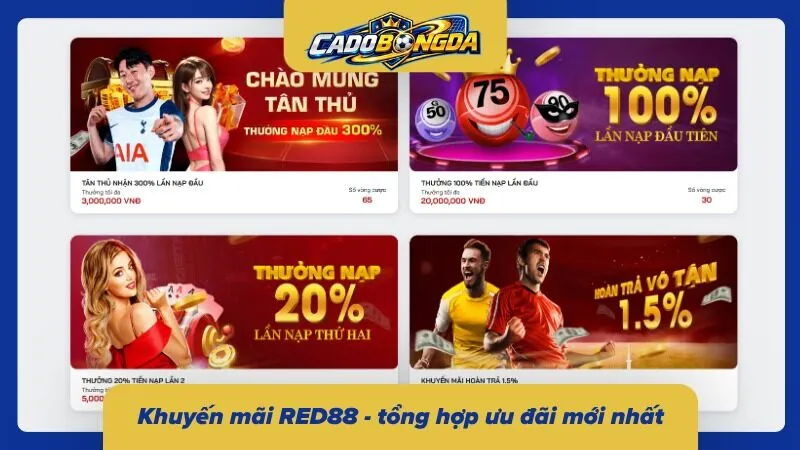 Tổng hợp những chương trình tặng thưởng vô cùng lớn