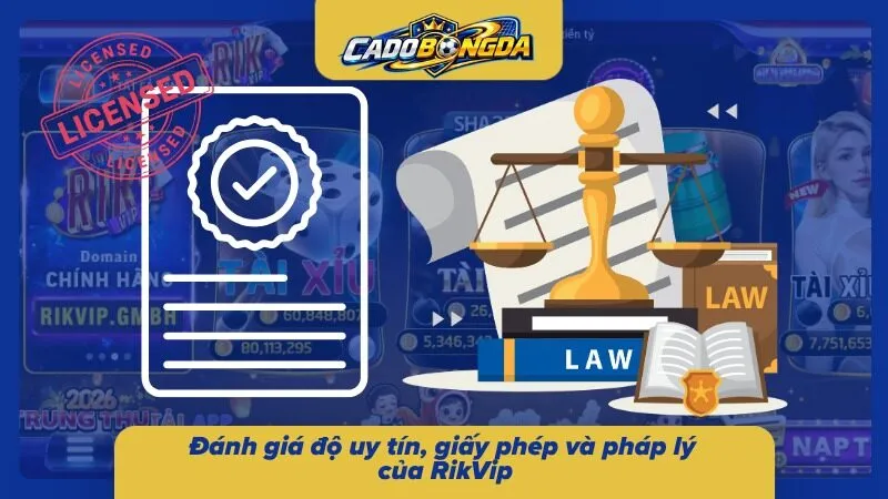 Thông tin giấy phép và tiêu chí pháp lý hỗ trợ kiểm tra mức độ an toàn hệ thống