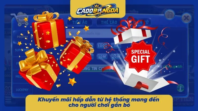 Các chương trình ưu đãi được cập nhật với nhiều quyền lợi dành cho thành viên