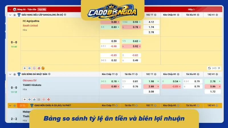 Đối chiếu tỷ lệ odds và biên lợi nhuận qua từng kèo cược