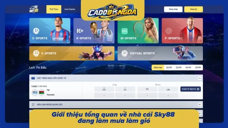Tổng quan hệ thống cung cấp thông tin về các dịch vụ cùng định hướng vận hành 