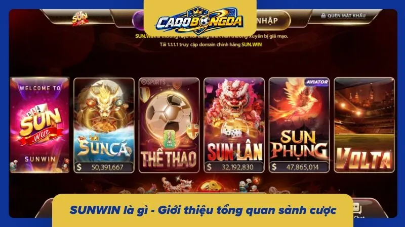 Tổng hợp các thông tin cơ bản về sảnh cược