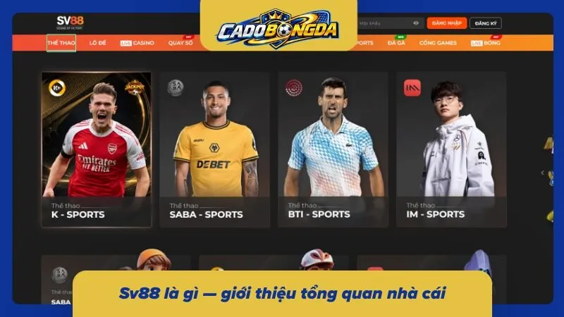 Tổng quát về thiên đường cá độ online Sv88