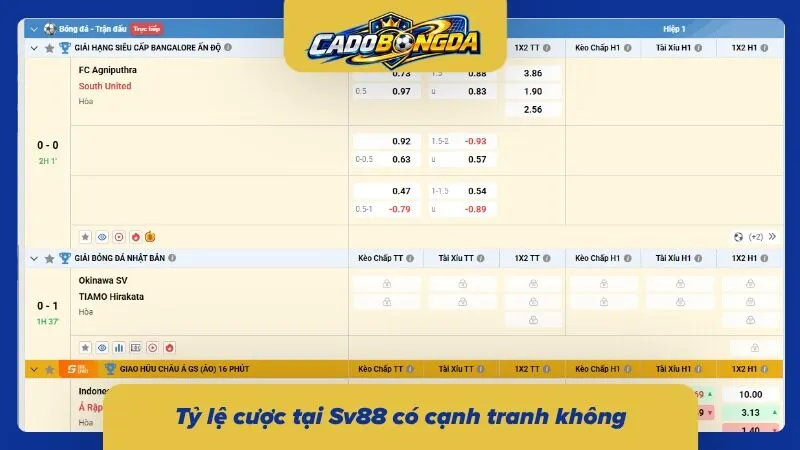 Odds hấp dẫn và tương đối cạnh tranh