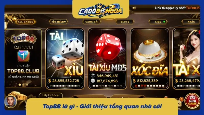 Top88 - Giới thiệu chi tiết và tổng quan về nhà cái