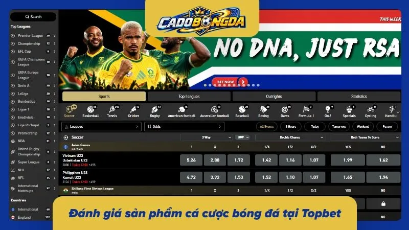 Phân tích danh mục sản phẩm cá cược bóng đá tại nhà cái 