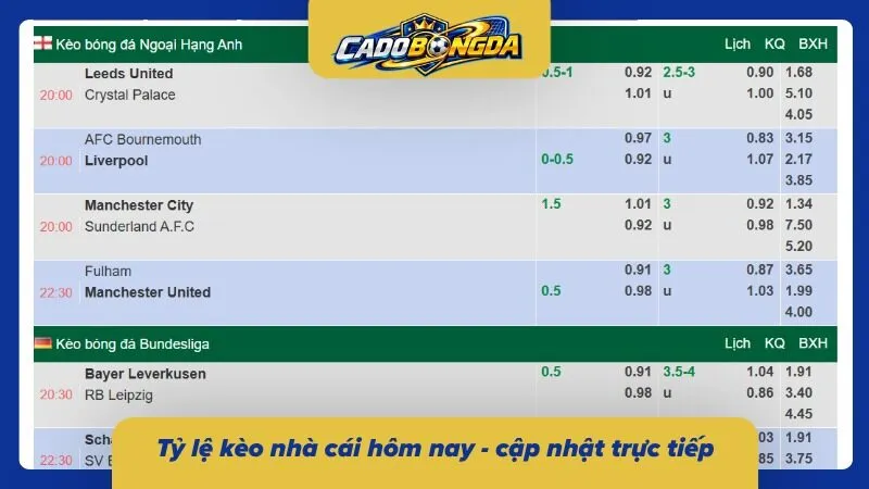 Bảng tỷ lệ cược nhà cái hôm nay - update liên tục