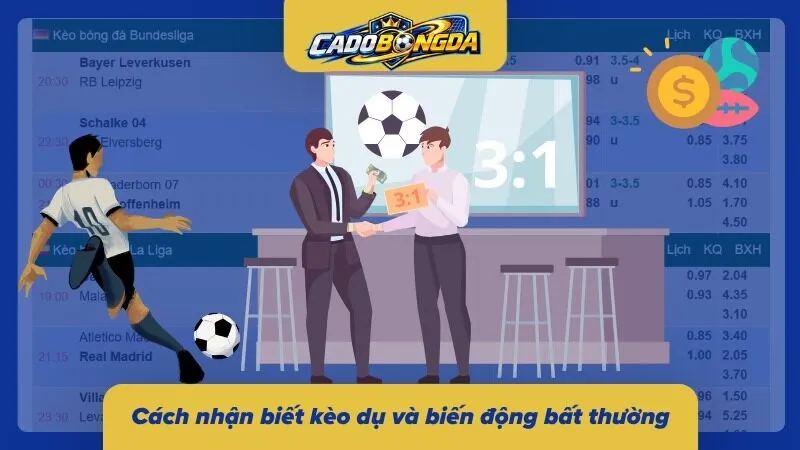 Dấu hiệu nhận biết bẫy tỷ lệ và biến động đáng ngờ