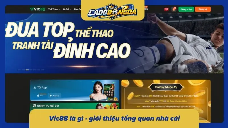 Tìm hiểu nhà cái Vic88 – thông tin tổng quan