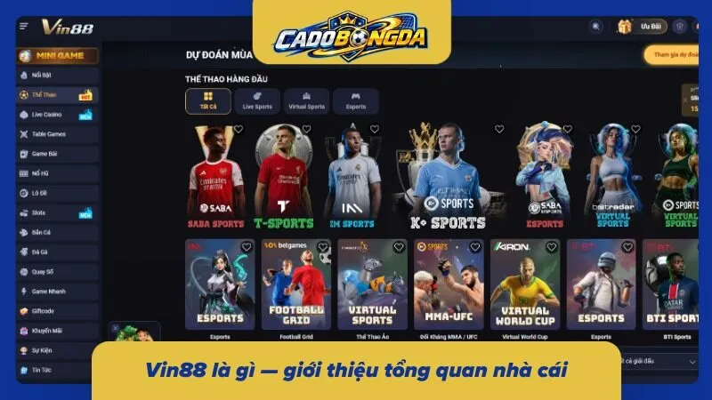 Toàn cảnh về nền tảng và dịch vụ cá cược Vin88