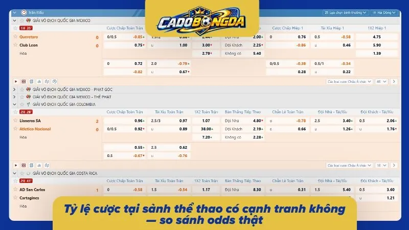 Mức odds và biên lợi nhuận qua từng lựa chọn