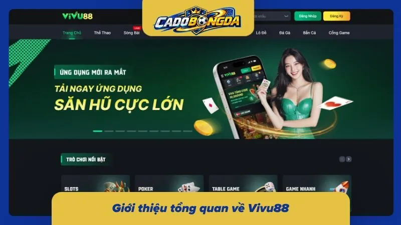 Khám phá tổng quan nền tảng đặt cược hấp dẫn hàng đầu