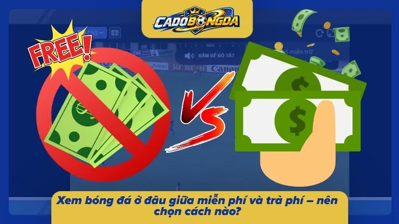 Người hâm mộ cân nhắc nhu cầu cá nhân trước khi chọn nền tảng phù hợp