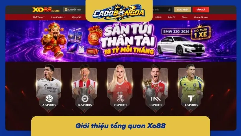 Tổng quan hệ thống giúp làm rõ các dịch vụ nổi bật cùng định hướng vận hành hiện nay