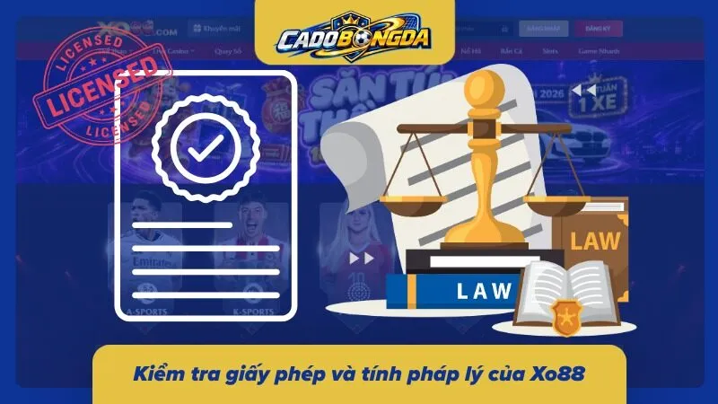 Thông tin giấy phép và pháp lý cần được kiểm tra từ nguồn chính thức để xác thực