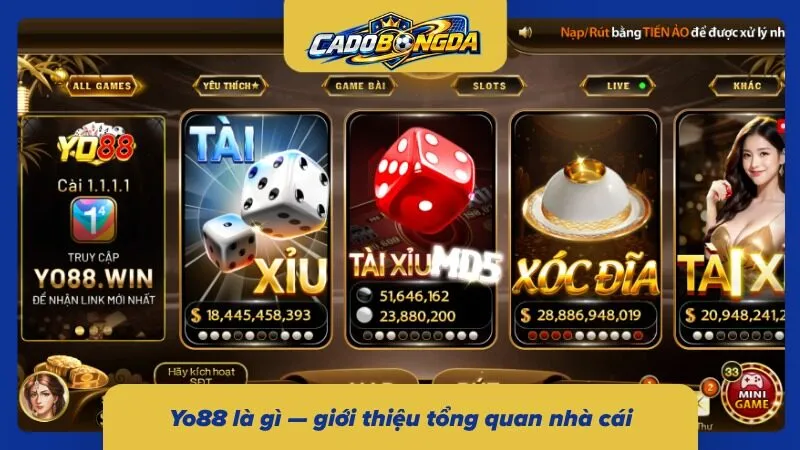 Bật mí về sân chơi cá độ uy tín Yo88