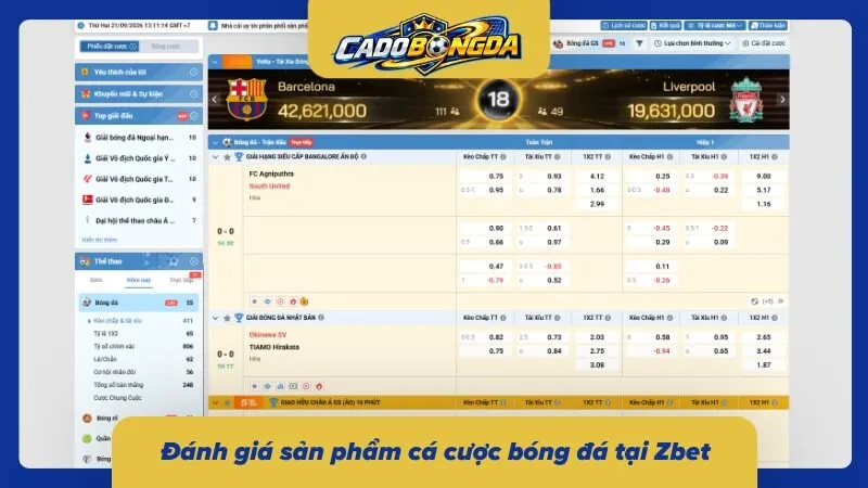 Khám phá thông tin cá độ bóng đá tại website