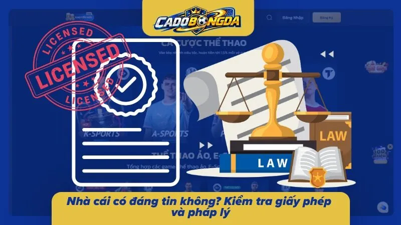 Các thông tin giấy phép và tiêu chuẩn pháp lý của sân chơi