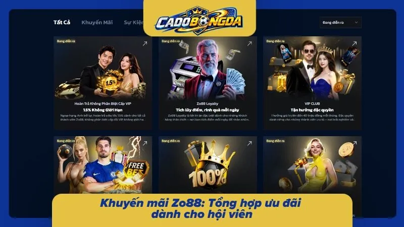 Các ưu đãi được cập nhật thường xuyên tại nhà cái