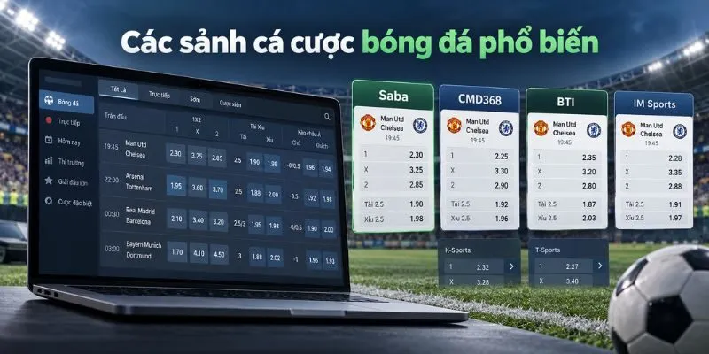 Các sảnh cá cược bóng đá Saba Sports, CMD368 và BTI